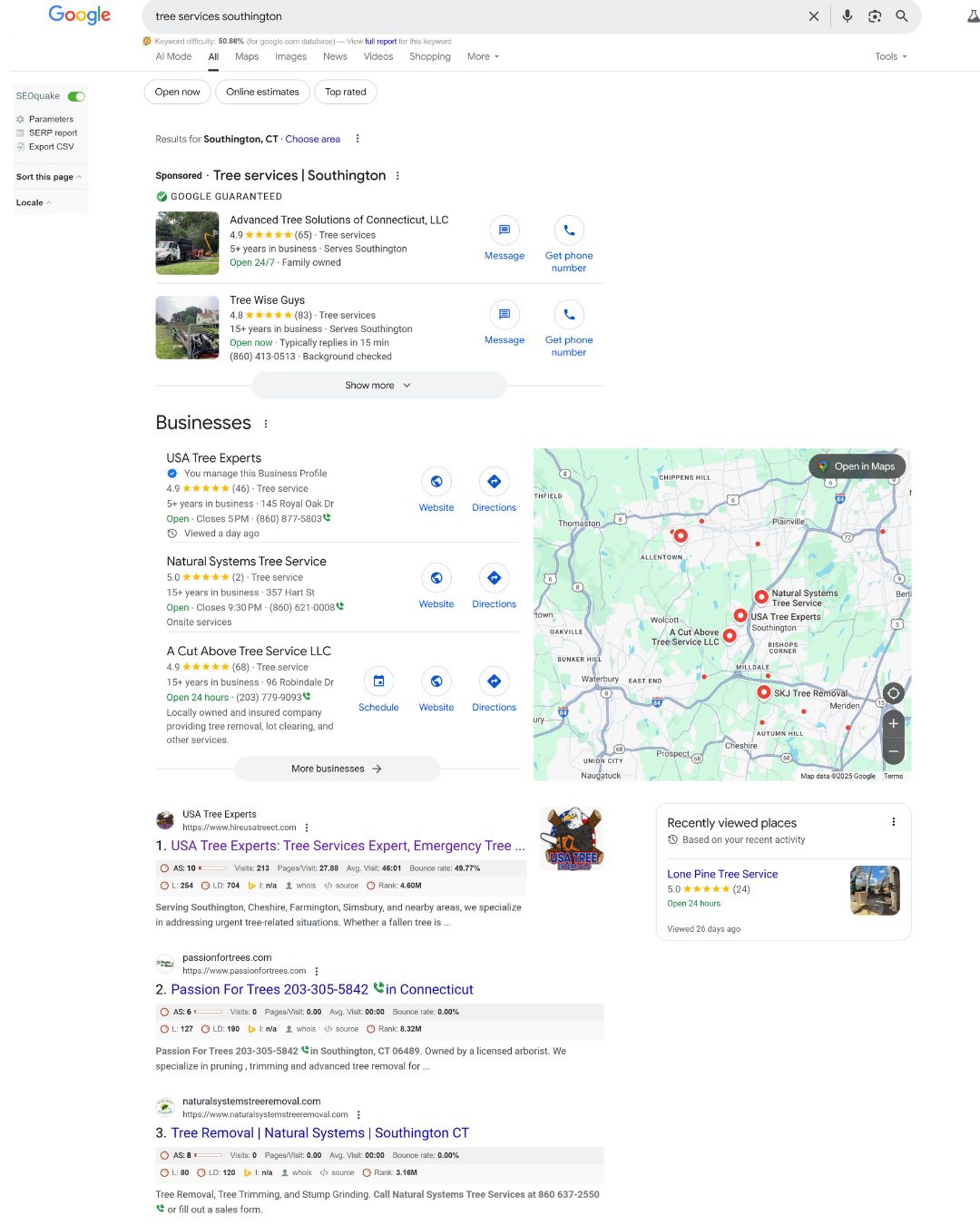 Example of a local tree company achieving the #1 search result due to high-quality Google Business Profile Optimization.